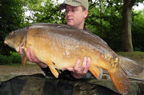 The Suffolk <b>Lakes</b> -- Burnt Mills and Cohoon -- should be on your list of places to fish now for fat Like Gizara, Suffolk native Bobby Kinsey has fished these. . Fishing lakes lenwade norfolk